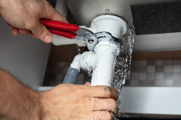 Best Fire Damage Restoration  in Byron, MN