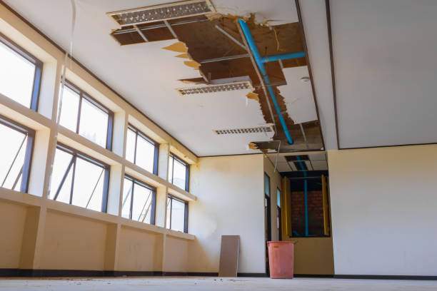 Best Water damage restoration insurance claims  in Byron, MN