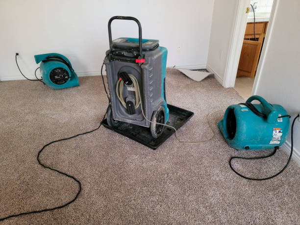 Best Flood damage cleanup  in Byron, MN