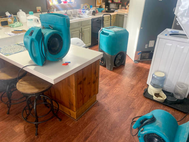 Best Residential water damage restoration  in Byron, MN