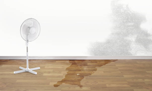 Best Commercial water damage restoration  in Byron, MN