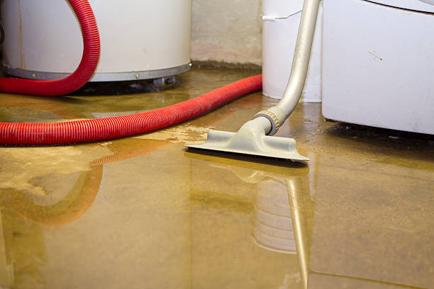 Best Basement water damage restoration  in Byron, MN