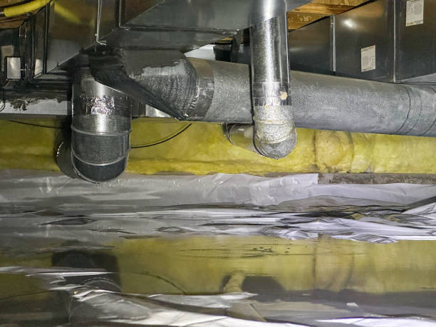 Best Flood damage cleanup  in Byron, MN