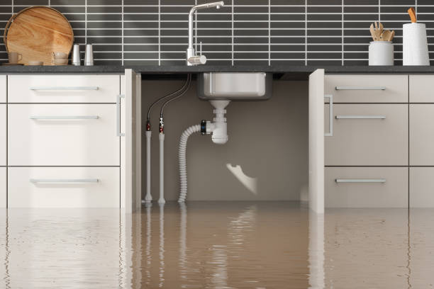 Water damage restoration insurance claims in MN